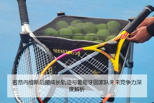 若昂内维斯后腰成长轨迹与葡萄牙国家队未来竞争力深度解析
